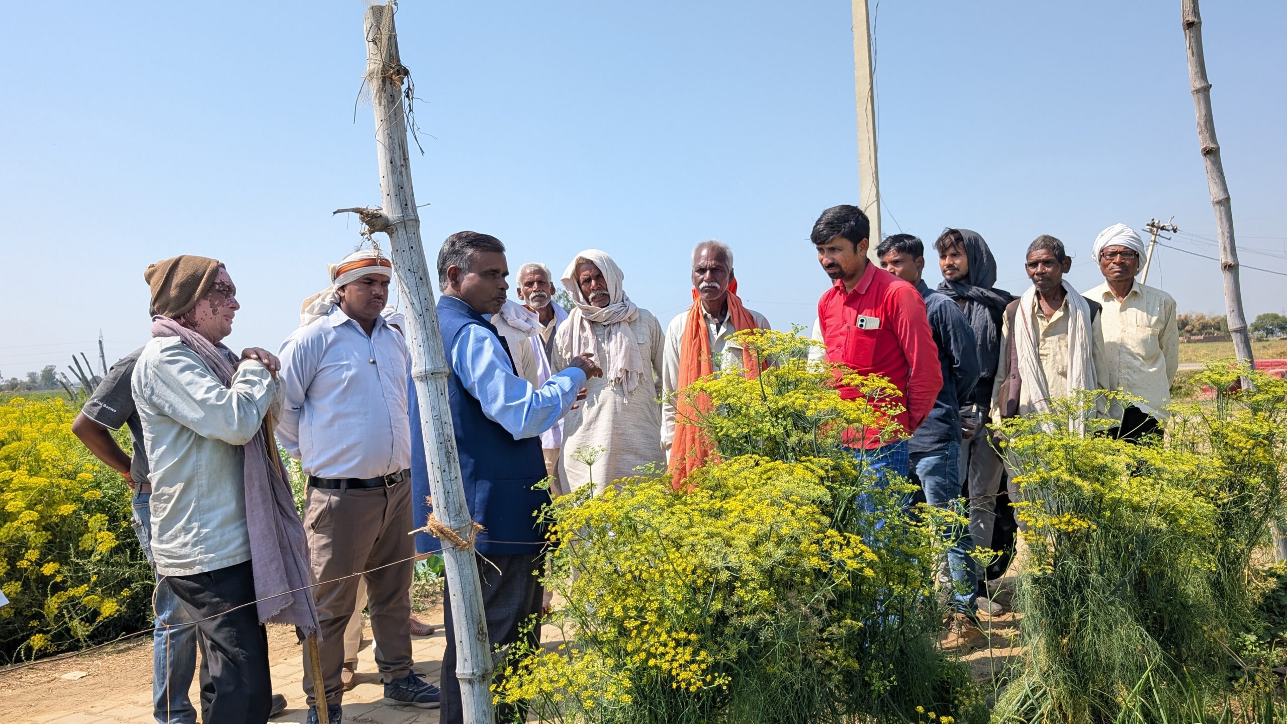 PXL_20250312_075037725