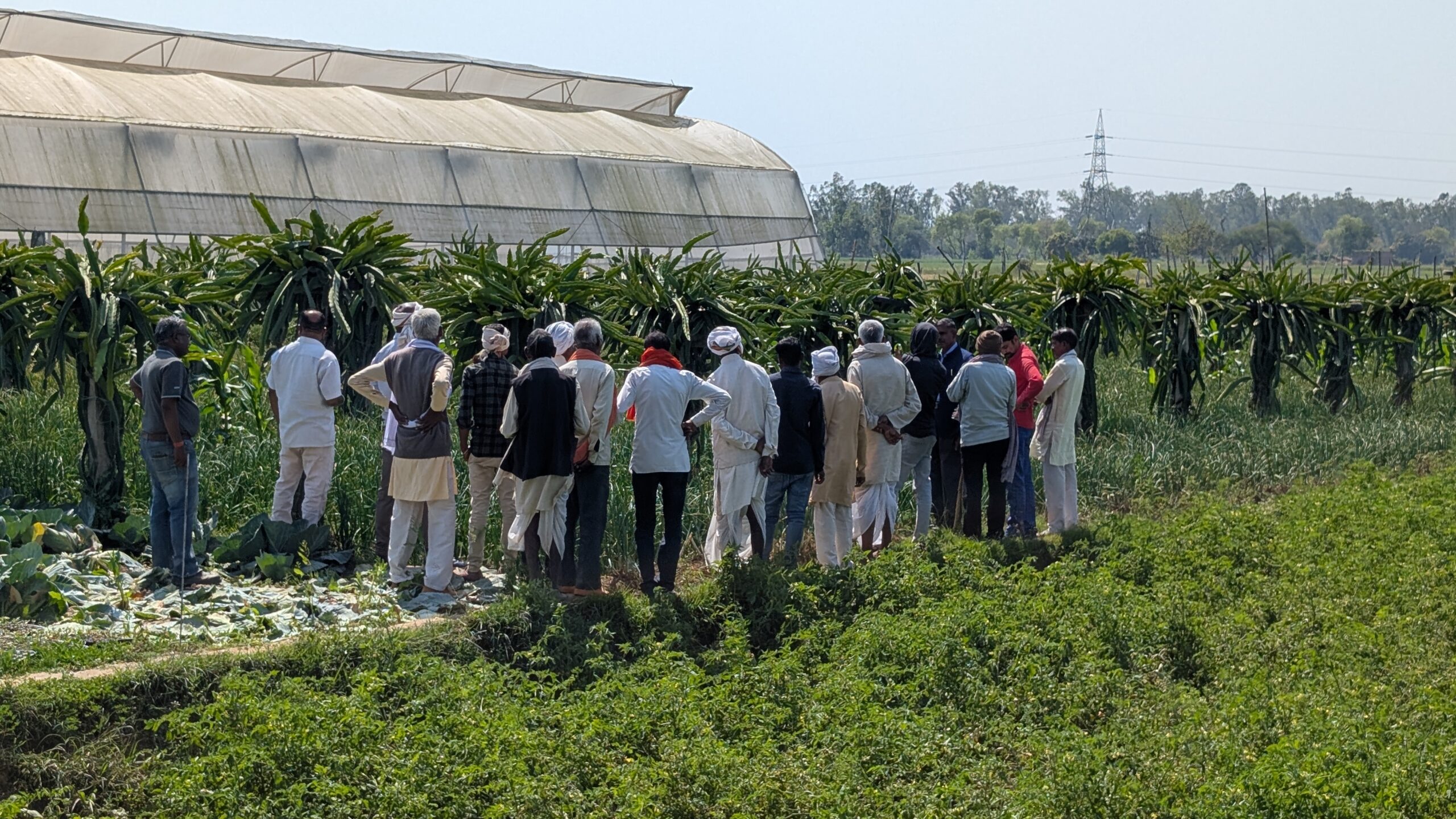 PXL_20250312_080806841