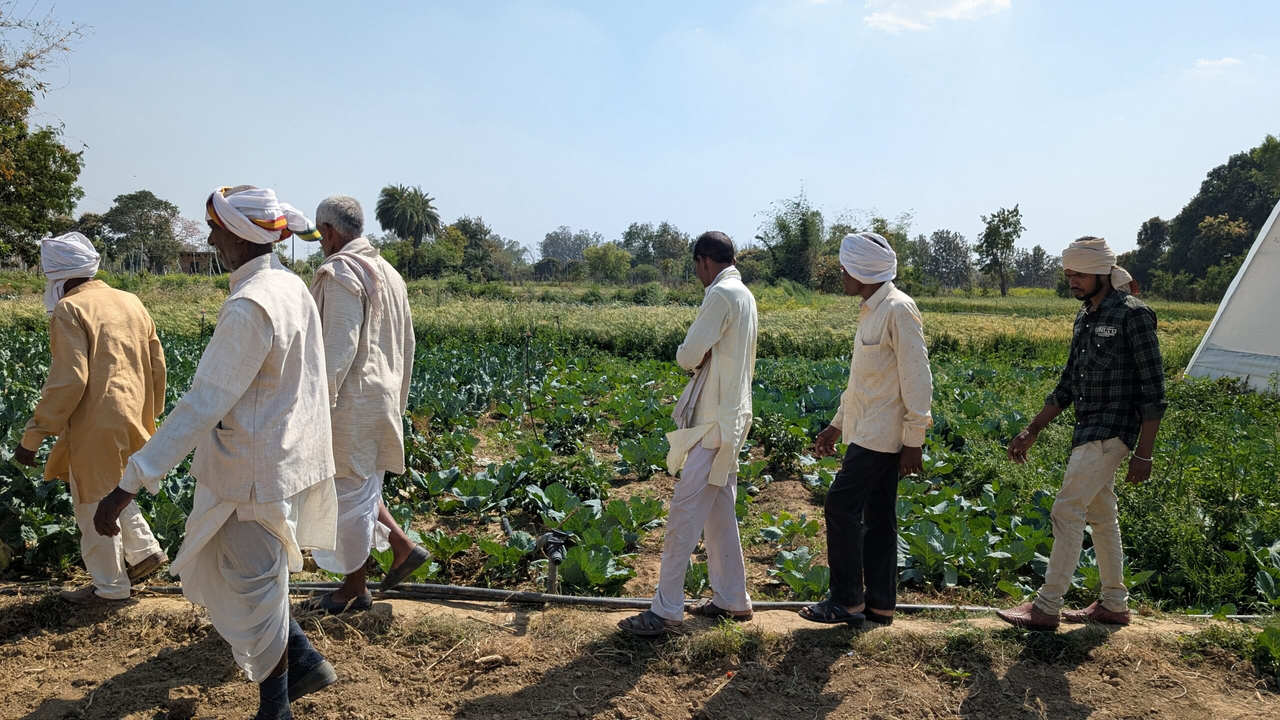 PXL_20250312_082252198